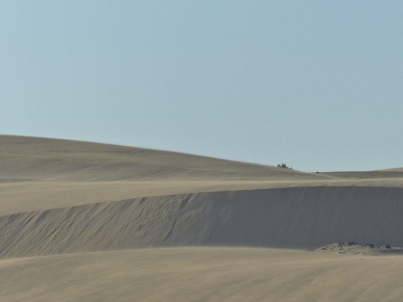 Corralejo dunes, Fuerteventura — real area photograph, not camp accommodation