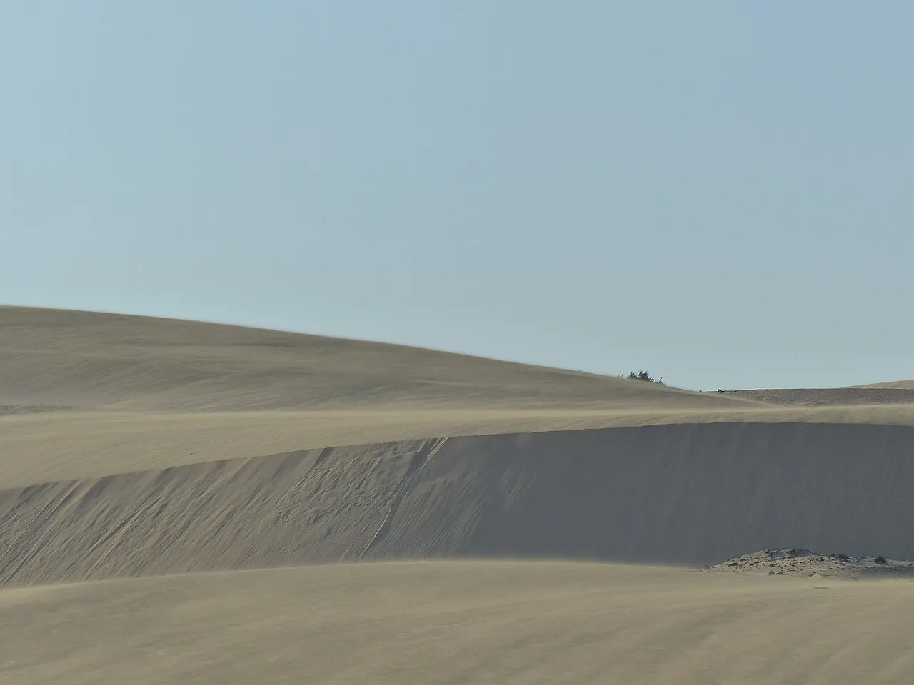 Corralejo dunes, Fuerteventura — echte Gebietsaufnahme, keine Lagerunterkunft