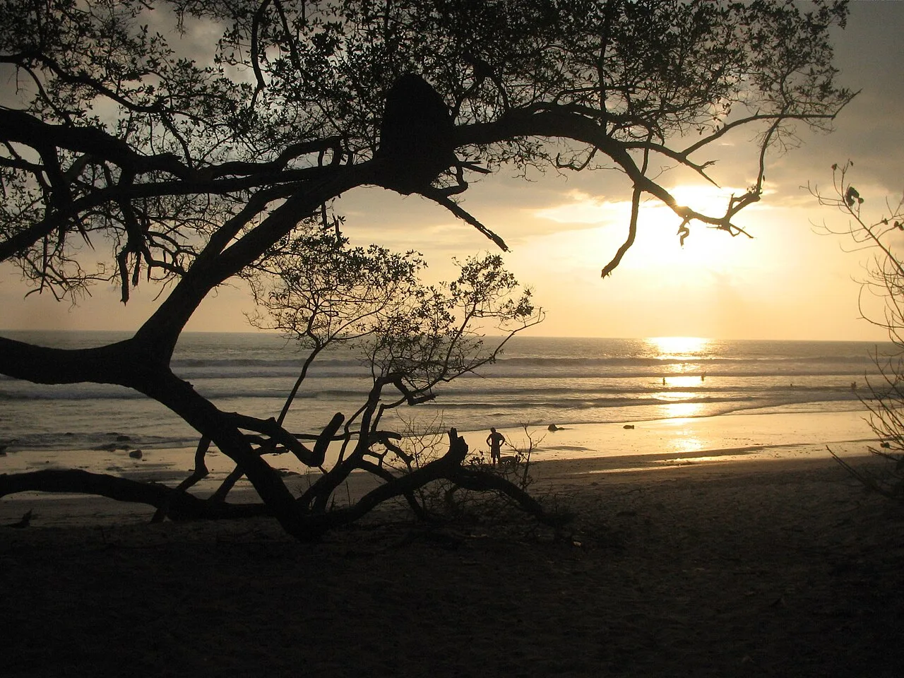 Playa Santa Teresa, Costa Rica — real area photograph, not camp accommodation
